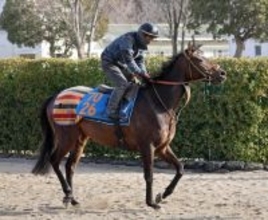 日曜京都競馬場の注目激走馬…京都１１Ｒプロキオンステークス・Ｇ２・馬トク激走馬＝ジェイパームス