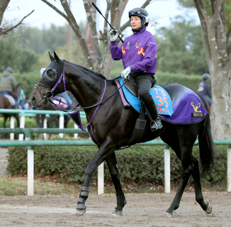【東京新聞杯１週前】２馬身遅れも鹿戸調教師「来週でちょうど良くなる」京都金杯から逆襲狙うトロヴァトーレ　
