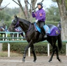 【東京新聞杯１週前】２馬身遅れも鹿戸調教師「来週でちょうど良くなる」京都金杯から逆襲狙うトロヴァトーレ　