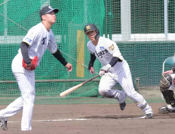 【阪神】ドラフト２位・谷端将伍がシート打撃で“プロ初安打”　門別啓人から左前打
