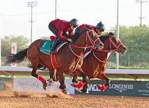 【リヤドダートスプリント】アメリカンステージはフォーエバーヤングを先導から併入　陣営「形としてはうまくいった」