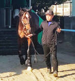 「【フェブラリーＳ】佐々木厩舎のラストＧ１に挑むラムジェット　陣営「調教師の笑顔を見られたら幸せ」」の画像1