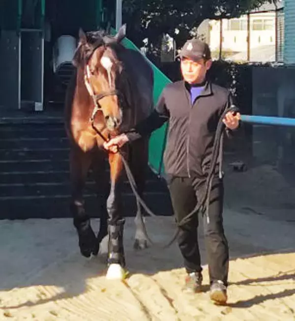 【フェブラリーＳ】佐々木厩舎のラストＧ１に挑むラムジェット　陣営「調教師の笑顔を見られたら幸せ」