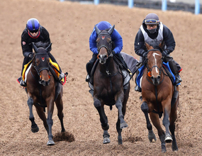 【中山牝馬Ｓ・１週前】４連勝中のニシノティアモは超抜の動き　上原佑調教師「津村さんも褒めてくれました」