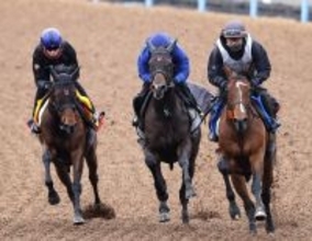 【中山牝馬Ｓ・１週前】４連勝中のニシノティアモは超抜の動き　上原佑調教師「津村さんも褒めてくれました」