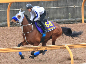 「宝塚記念に近づける」メイショウタバル圧倒Vの再現仕上げ　３戦３勝の仁川も追い風