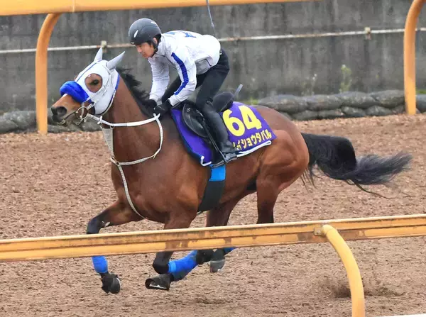 「宝塚記念に近づける」メイショウタバル圧倒Vの再現仕上げ　３戦３勝の仁川も追い風