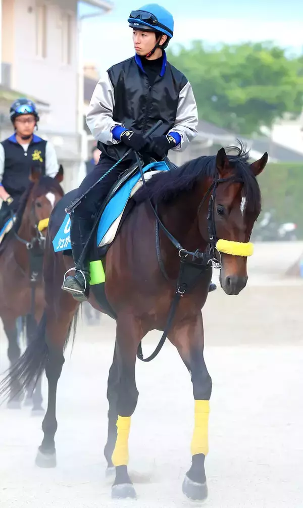 【注目馬動向】新潟大賞典１５着のシュガークンは宝塚記念へ　キタサンブラック半弟　清水久調教師「いい競馬でしたよ」