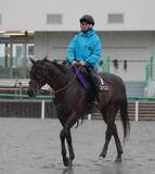 「【安田記念・土曜気配】武豊騎手と挑むシックスペンスがレース前日に異例の調整　しまい１ハロン１２秒１と破格の時計マーク」の画像1