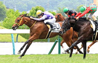【注目馬動向】先週の福島で新馬勝ちのピクニックマーチはすずらん賞へ
