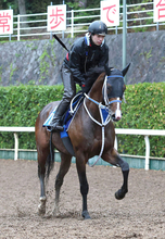 【小倉記念・１週前】今期充実のウエストナウが重賞初勝利へ　寺島調教師「馬も成長してくれています」