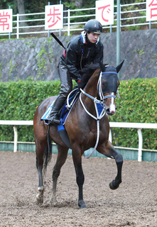 【小倉記念・１週前】今期充実のウエストナウが重賞初勝利へ　寺島調教師「馬も成長してくれています」