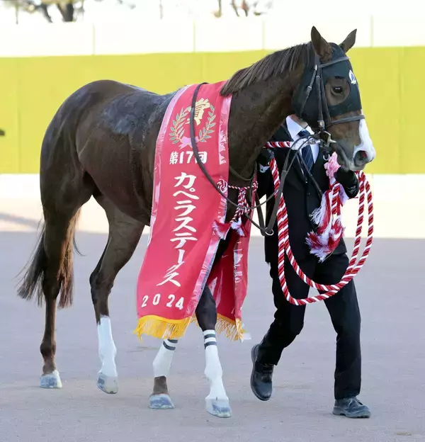 ２４年のカペラＳを制したガビーズシスターがＪＲＡ競走馬登録を抹消　今後は大井競馬に移籍予定