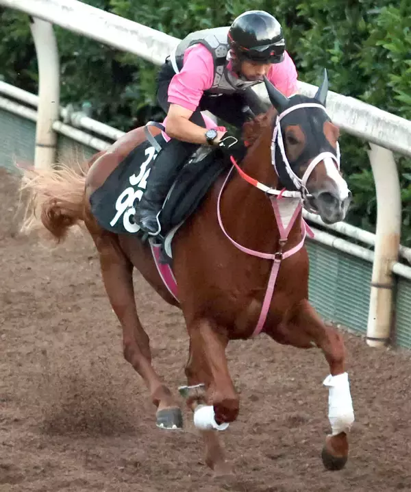 【レパードＳ】圧勝続きで２番人気のショウナンバンライは６着　田山旺佑騎手「使ってきた影響があったのかも」