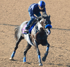 【注目馬動向】新潟記念６着の２３年菊花賞馬ドゥレッツァは中東のバーレーンインターナショナルＴに登録