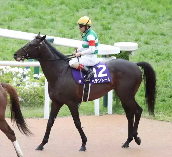 【注目馬動向】ヘデントールは京都大賞典で秋始動　昨年の天皇賞・春でＧ１初勝利