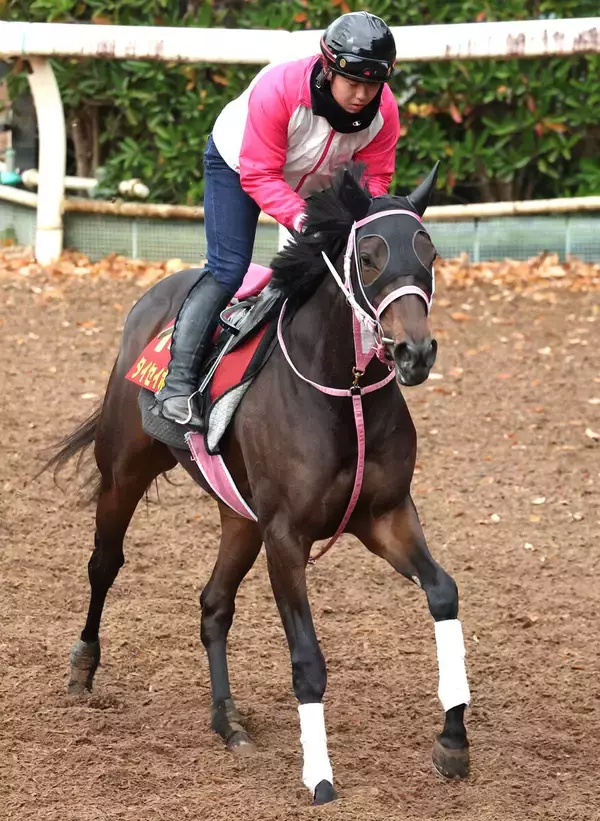 【阪神ＪＦ】重賞勝ち馬がいなかった９７年１～３着に共通する馬からあぶり出すと…重賞好走続くタイセイボーグ
