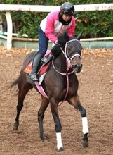 【阪神ＪＦ】重賞勝ち馬がいなかった９７年１～３着に共通する馬からあぶり出すと…重賞好走続くタイセイボーグ