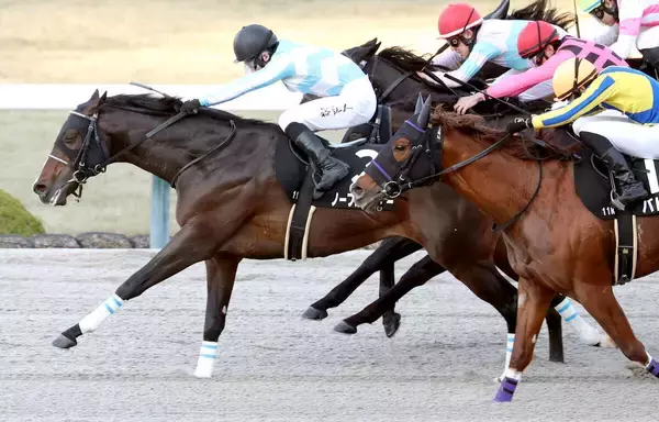 【阪神１１Ｒ・ギャラクシーＳ】ノーブルロジャーが直線一気でダート初勝利　石川裕紀人騎手「もう一度大きいところを」