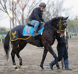 「【中山金杯】人馬で復活を狙うニシノエージェント　鞍上に千葉調教師「お世話になっている先輩の一人」」の画像1