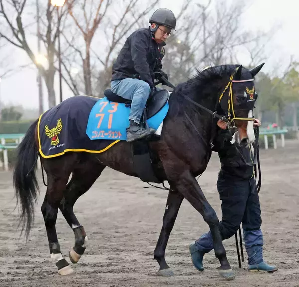 【中山金杯】人馬で復活を狙うニシノエージェント　鞍上に千葉調教師「お世話になっている先輩の一人」