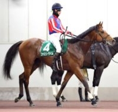 【注目馬動向】ファミリータイムは松山弘平騎手で阪神大賞典へ　ママコチャはオーシャンＳで始動