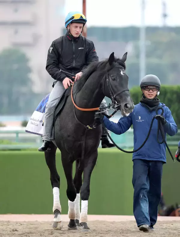 【きさらぎ賞・三戸の特注馬】重賞で惜敗続きのゾロアストロ　ハマーハンセン騎手との新コンビで初タイトルを狙う