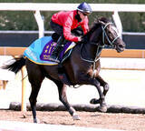 「【阪神牝馬Ｓ】坂井瑠星騎手がアスコリピチェーノと初コンタクト　シャープな伸びに「最後の反応もよかったです」」の画像1