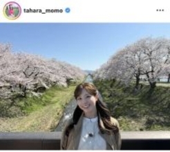 テレ朝アナ、“春の四重奏”に大興奮！「桜並木もモモさんも素敵」「癒やされます」「最高の場所で、最高の笑顔」の田原萌々アナ