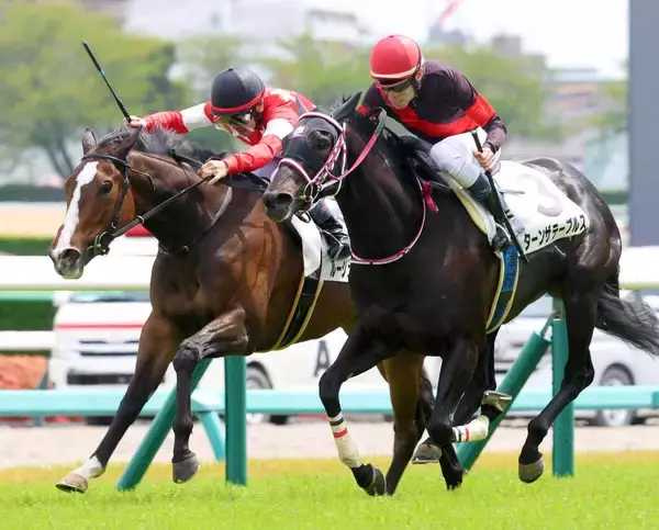 【中山６Ｒ】コントレイル産駒のルージュボヤージュが鼻差の接戦制す　戸崎圭太騎手「よく差し返してくれた」