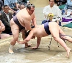 友風が得意のはたき込みで今場所の初白星　「狙っていた訳ではありません。自然と体が動いてくれた」