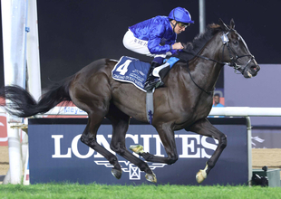 ８歳馬が重賞１７勝目！　レベルスロマンスが４頭立ての大激戦制した　英Ｇ２・プリンセスオブウェールズＳ