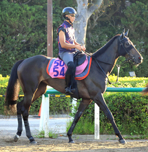 【注目馬動向】イクイノックスの全妹イクシードがローズＳに参戦