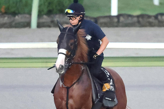 【注目馬動向】ダイヤモンドノットはスワンＳへ　福永調教師「一度使って上がってくると思う」