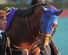 【チャンピオンズＣ】１番人気のナルカミは失速して１３着に沈む　１勝クラスからの連勝は４でストップ