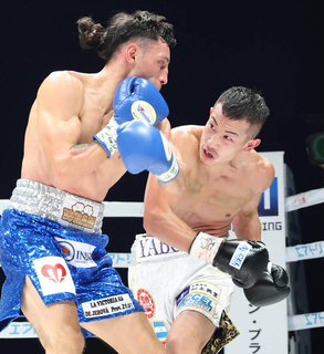 矢吹正道、Ｖ１成功　１２回ＫＯで元世界王者のアルバラード破る　ＩＢＦ世界フライ級タイトルマッチ