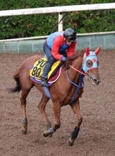 【淀短距離Ｓ】上昇気配漂うフィオライアが舞台替わりで巻き返す　西園正調教師「直線が平坦の京都はいい」