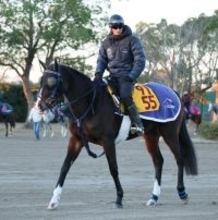 【注目馬動向】ボンドガールはラストラン予定の小倉牝馬Ｓ２着で現役続行が決定　藤田晋オーナー明かす