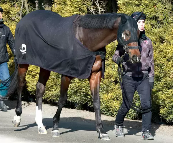 【フェブラリーＳ】ラストＧ１の佐々木調教師が送り込むラムジェットは３枠６番　「偶数でよかった。自分のことより…」