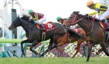 ダンビュライトが腸捻転のため死ぬ　１９年京都記念など重賞２勝