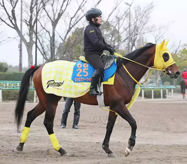 【マーチＳ】一昨年の覇者ヴァルツァーシャルは力強い動き披露　高木調教師「いい状態をキープできている」