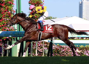 重賞３勝を挙げたノースブリッジが競走馬登録を抹消　東京競馬場で乗馬となる予定