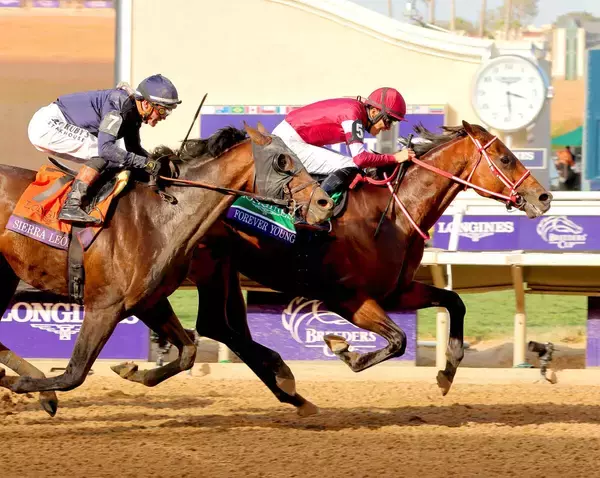 「日本のスーパースター」フォーエバーヤングの秋遠征に全米が歓喜　ＢＣ主催者「世界中の競馬ファンの心をつかんでいます」
