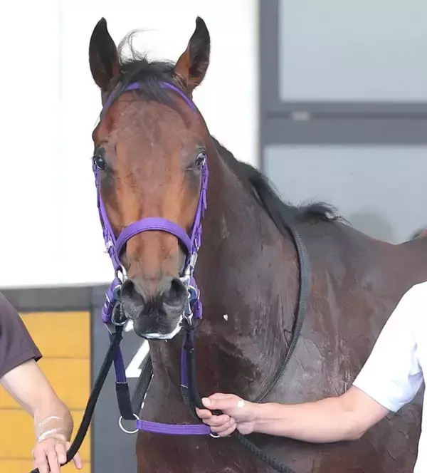 【注目馬動向】７月１１日の函館新馬を８馬身差圧勝のフレイコンは函館２歳Ｓを回避