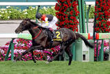 「【注目馬動向】札幌日経賞勝ちのミラージュナイトはオールカマーか京都大賞典の両にらみ」の画像1