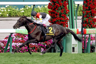 【注目馬動向】札幌日経賞勝ちのミラージュナイトはオールカマーか京都大賞典の両にらみ