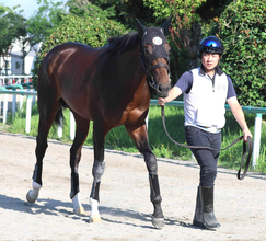 【５日の注目・中山７Ｒ】半姉は２２、２３年の安田記念を連覇したソングライン　“崖っぷち”の良血馬が初勝利つかめるか