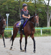 「菊花賞では...」５勝の武豊騎手がゴーイントゥスカイ上原佑調教師へ心強い一言　前走で想定外にもたれるも...