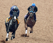 【菊花賞】ジャスティンシカゴは息ピッタリ　原優介騎手「１着という結果以外は今は考えていない」