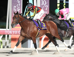 【注目馬動向】ジャパンダートクラシック制覇のシルバーレシオはチャンピオンズＣを目指す